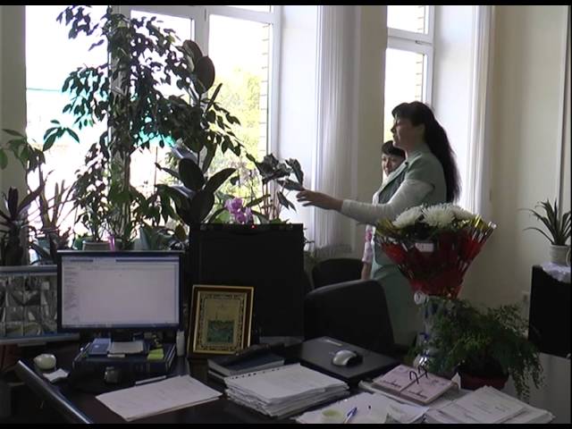 Дизайн пенсионного обошёл всех