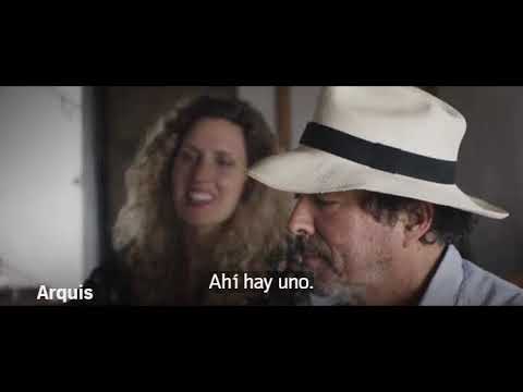 ARCHIS SERIES - Simón Vélez