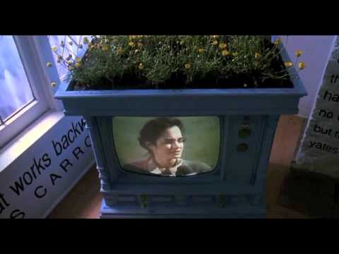 Cool As Blue Valentine Trailer