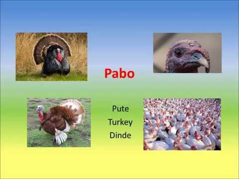 Tamazight lernen für Anfänger, To learn tamazight for beginners, Apprendre Tamazight pour débutant 3