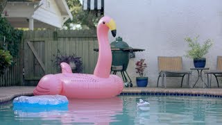 Pinch a Penny - Roll Call