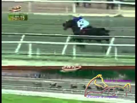 LA RINCONADA 10 CARRERA, DOMINGO 19 DE JULIO DEL 2015