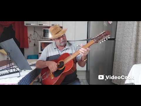  Telêmaco Borba Paraná é assim 