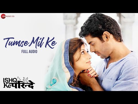 Tumse Mil Ke (Full Audio) — watch video