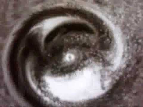 Element Powercord-Sirens