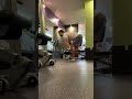 哑铃直腿硬拉 30kg