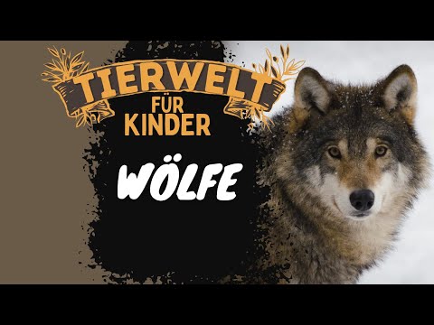 Folge 5: Wölfe - Tierwelt für Kinder - Lernvideo auf Deutsch