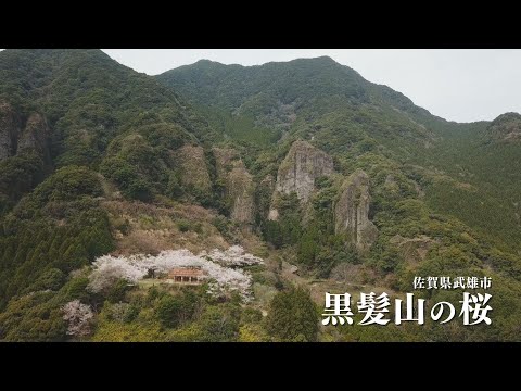 佐賀県武雄市　［黒髪山の桜］通常バージョン