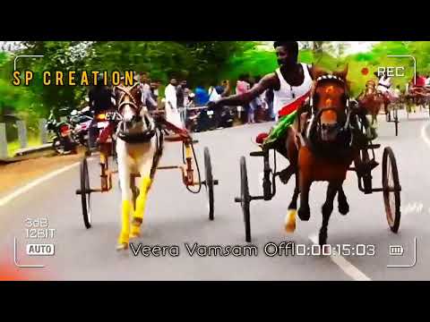 horse race in whatsapp status in tamil