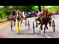 Horse Race In Whatsapp Status In Tamil