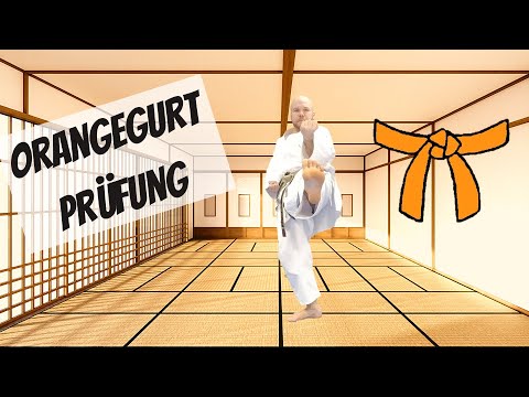 Werde Karate-Meister 3/10: Orangegurt Shotokan Prüfungsprogramm Kihon (7. Kyu, DKV)