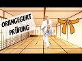Werde Karate Meister 3 10 Orangegurt Shotokan Prüfungsprogramm Kihon 7 Kyu DKV