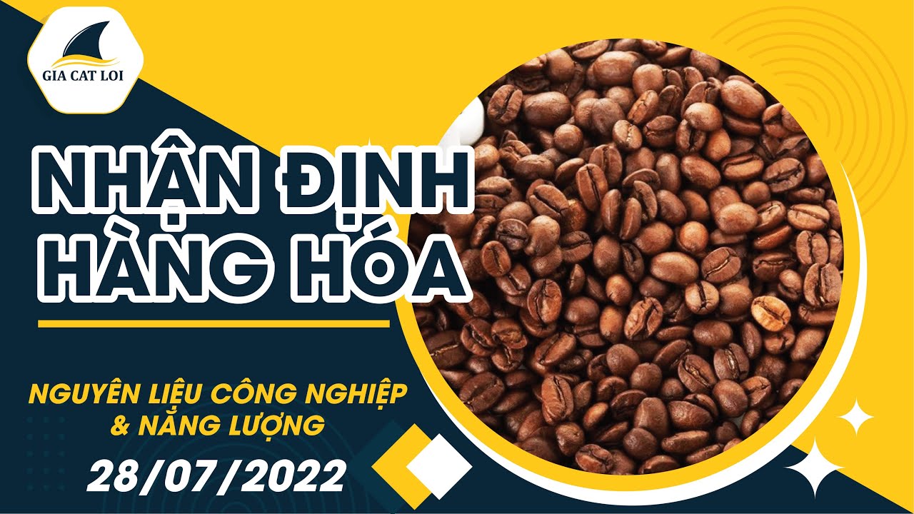Nhận Định Thị Trường Năng Lượng & Nguyên Liệu Công Nghiệp Ngày 28/07/2022