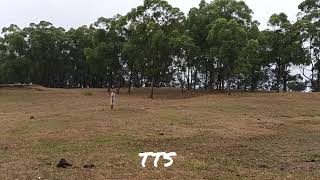 Download lagu piknik di kobong . hutan cemara Fatumnasi Kapan TTS NTT ❤ mp3