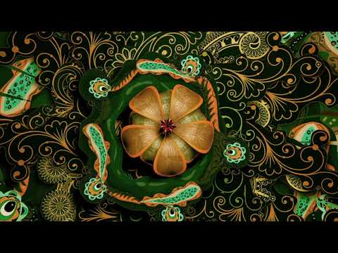 In Cygnus and in Health - Official Video