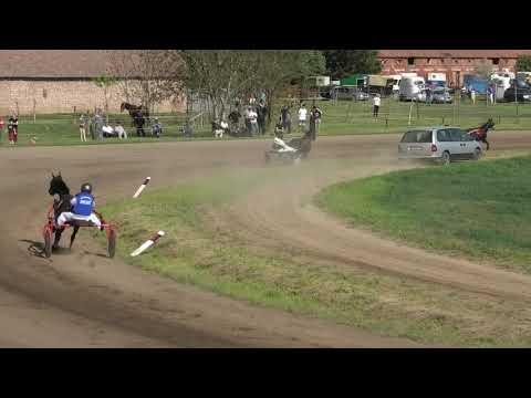 Trka "Sveti Nikola"  02.05.2021  Let Me Dream - Zoran Petrović