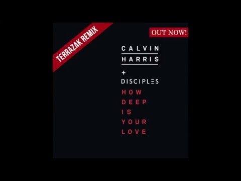 Calvin Harris & Disciples - How Deep Is Your Love(Terrazak Remix)