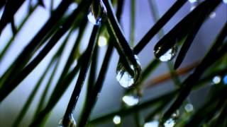 Прелеп Свет - Таман месец ~ Beautiful Earth - Dark Moon