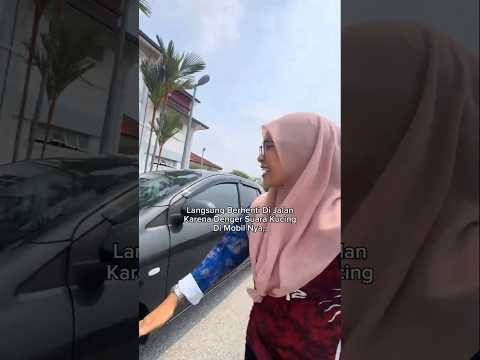 Denger Suara Kucing Di Mobil Nya #shorts #kitten #cat #kucing #animals #rescue #pets