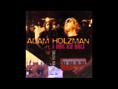 Adam Holzman - Mad Cow Disease