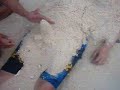 pop in bora
