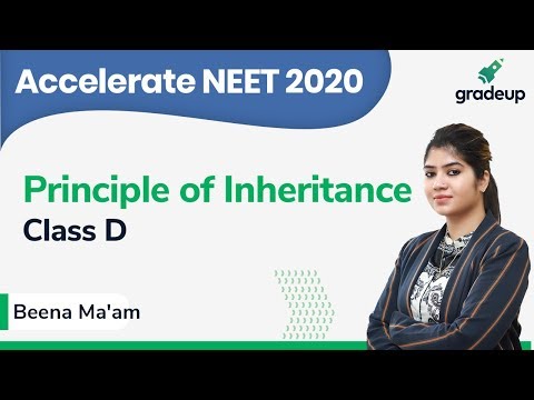 NEET 2020 | Class 17 | Botany | Principle of Inheritance Video
