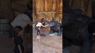 Download lagu Eles são lindos né? Fica na área de Como Treinar o seu dragão no Epic Universe mp3