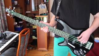 I Love You (But I Hate Your Friends) by Neon Trees // Bass Cover