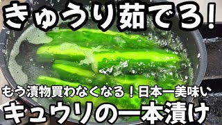 きゅうりは茹でろ！もう漬物買わん！これだけで簡単プロの味！キュウリの一本漬け  作り置き 常備菜 おつまみ 大量消費レシピ 夏野菜 屋台お祭り 胡瓜 浅漬け 