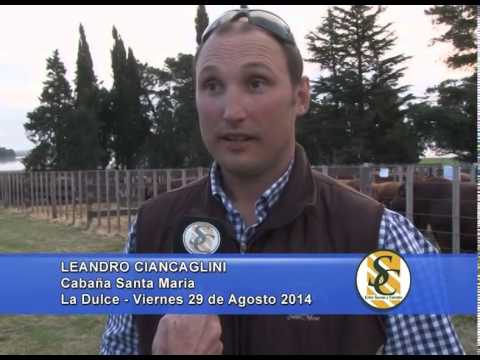 Cabaña Santa María - Ventas Hembras - Nota Leandro Ciancaglini - La Dulce - 29/08/2014