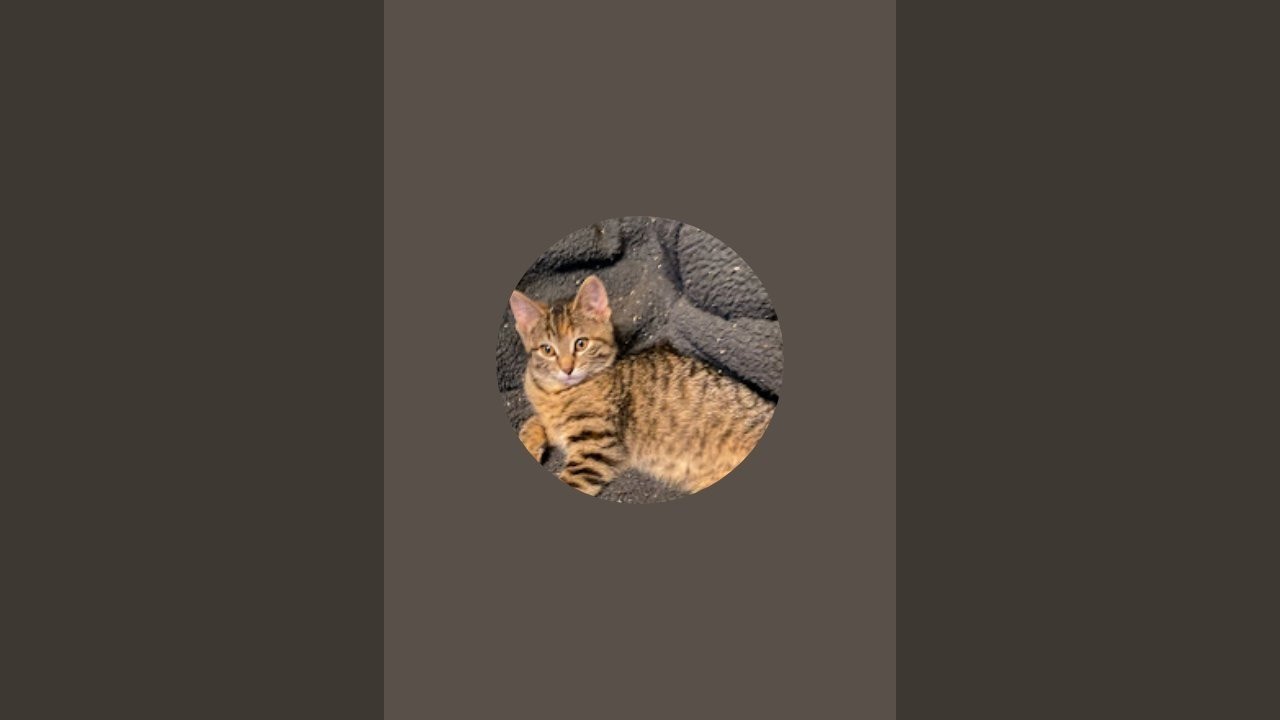 Making it with Scott is live!