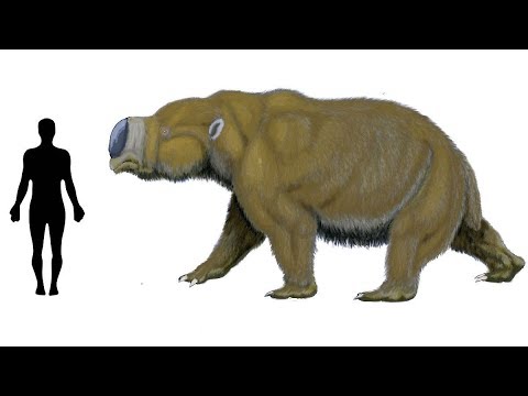 download lagu mp3 mp4 Megafauna, download lagu Megafauna gratis, unduh video klip Megafauna