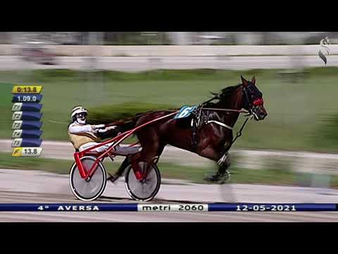 Aversa trotto 12 Maggio 2021 - 4° Corsa