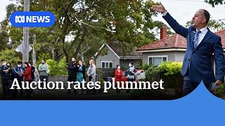 Federal budget appears to be impacting housing market | ABC NEWS
