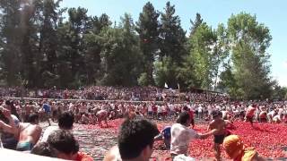 preview picture of video 'La Guerra del Tomate Quillón 2013'