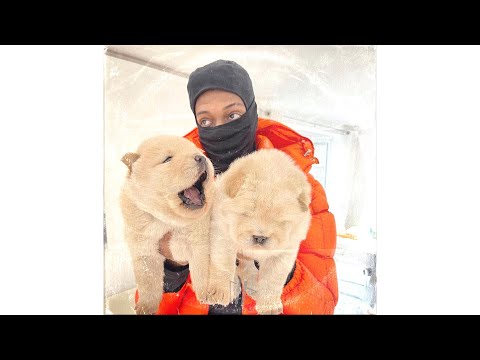 [FREE] #Mostack x #AjTracey x #Jhus x #M1llionz - "Tek9" #DrillTypeBeat Prod. Josh Press