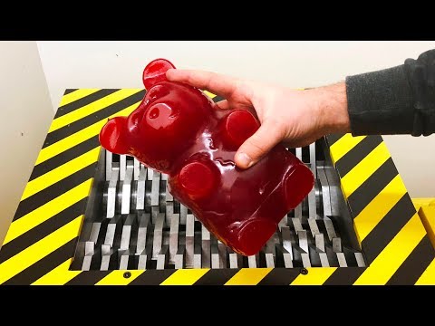 EXPERIMENT Shredding GIANT GUMMY BEAR (Five pound)