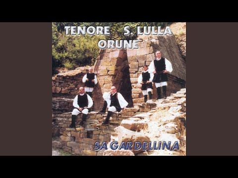 Mi so somanne tratesu