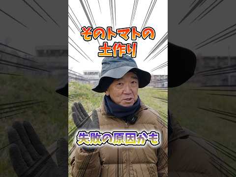 なぜトマトに牛乳をかけるのでしょうか？副作用はありますか?  庭園