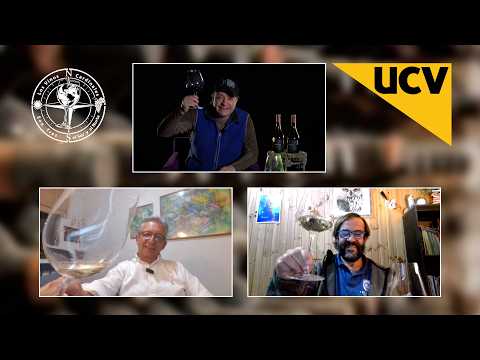 Los Vinos Cardinales capítulo 9