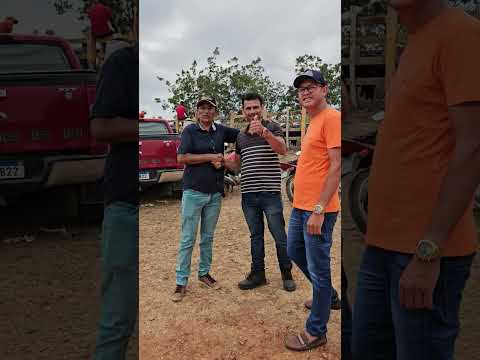Feira de gado de Campo Grande   Alagoas  acontece todos os sábado 03/01/2026  ERIEL OFICIAL  🎥