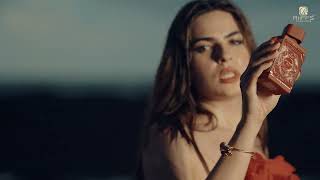 Miniature de la vidéo