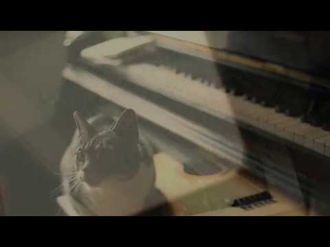 Marco Oliveira | A Alma Encantadora das Ruas (Teaser São Luiz)