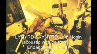 Lynyrd Skynyrd - Am I Losin'(acoustic version) 1994.