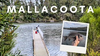 Mallacoota, Victoria, Australia - Fishing and Exploring Beautiful coastal wilderness  オーストラリア、マラクータ