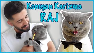 BİR KEDİ SUSMAZ MI?!!!😍 (Konuşan Kedi)