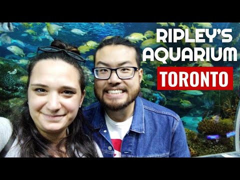 Toronto Travel Guide | Ripley's Aquarium of Canada