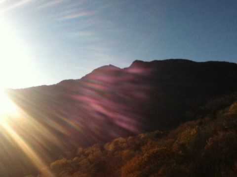 What Will I do (Whyteshadow)