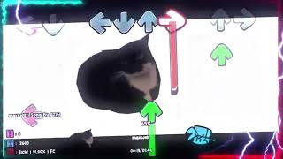 Cover art for maxwell the cat