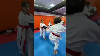 Taekwondo Öğrenmek İsteyenler Ücretsiz Başvurabilir